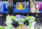 Thumbnail of 